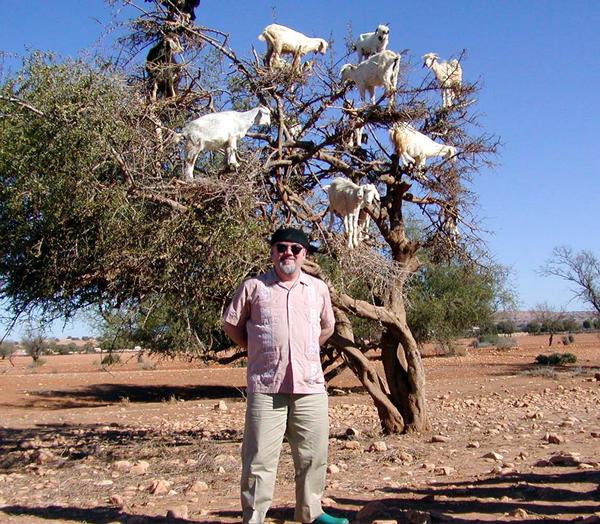 [Image: Tree-Goats_Cleve.jpg]
