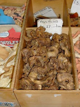 ../../5X-Day-Photos/EuroXDV-Avebury-Kiel/devizes-marketpignoses.jpg