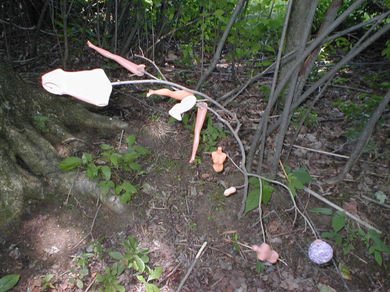 ../../5X-Day-Photos/frop-dec3/234-DOLL-REMNANTS.JPG