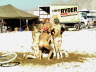 image/_pd3-72mudkids.jpg