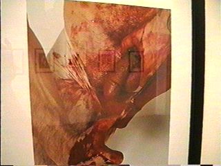 image/picture_07.jpg, 15.5K