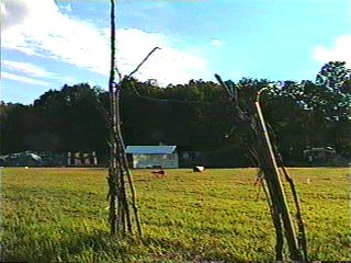 image/starwoodsat_09.jpg, 19.9K