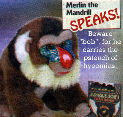 ../X-mandrills/bd_perSav37.jpg, 64.4K