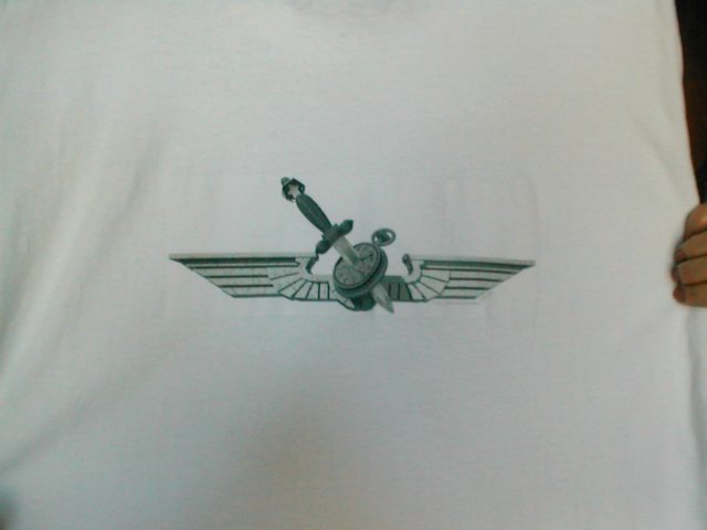 ../cafepress_swag/WingsSlackShirt.jpg