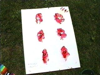 image/picture_27.jpg, 16.3K