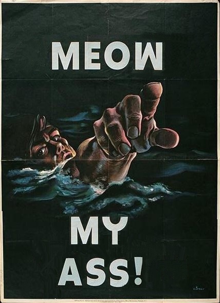 ../bonana-fanna/no_cats_please.jpg