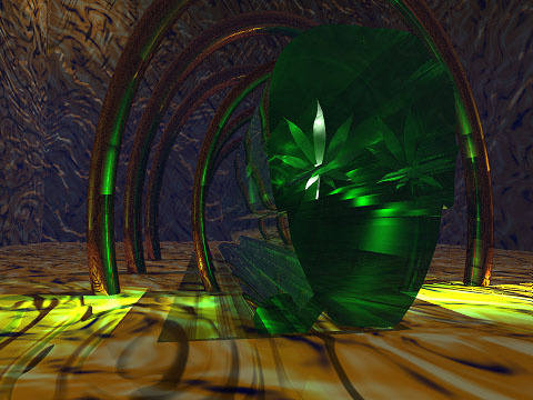 ../fern19/bd_bobomak4.jpg