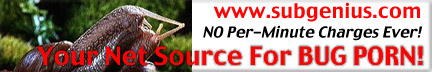 ../friday-banners/bugbanner1.jpeg