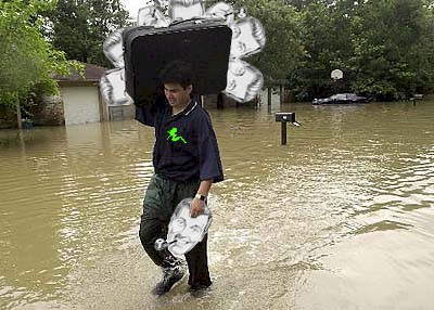 ../MISC/floodbobcase-dbm.jpg