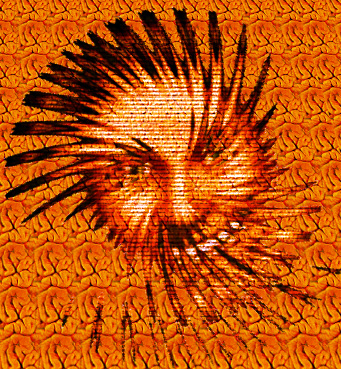 ../imbjr/happy_brainz_bob.jpg