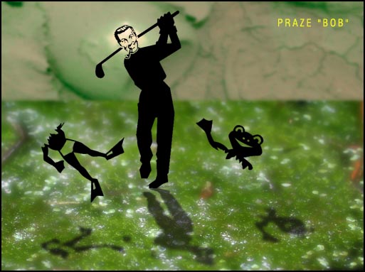 ../lemur1/bd_prazeBob242.jpg