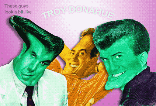 ../lemur2/bd_troyDonahue2.gif