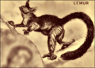 ../lemur5/lemurArt24.jpg