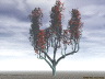 image/_tree2.jpg