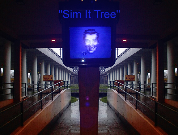 ../imbjr02-3/sim_it_tree_2002.jpg