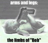image/_arms_legs_limbs_bob.jpg