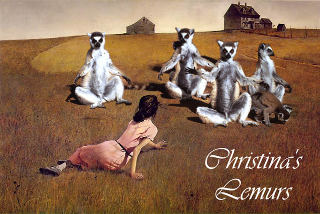 ../lemur-02-1/bd_christinasLemurs.jpg