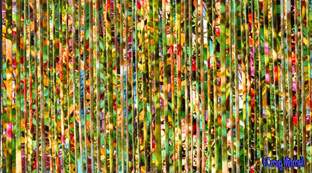 ../paternostril-1/greenlines.jpg