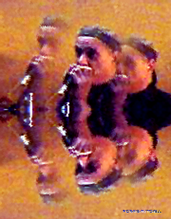 ../paternostril-3/strange_daves.jpg