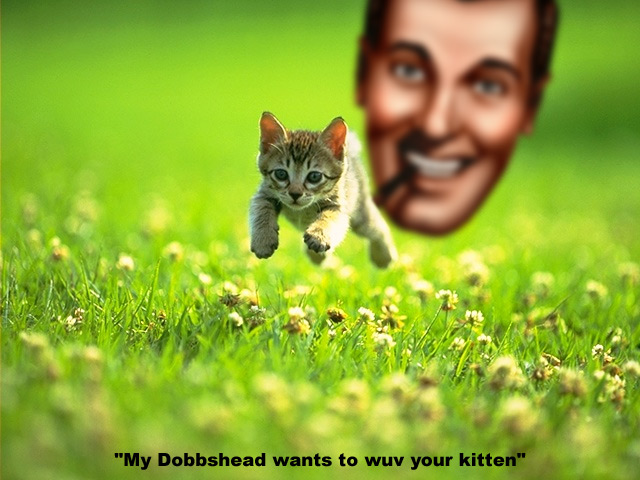 ../imbjr05/kitten_wuvver.jpg