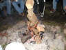 image/_fart_campfire.jpg