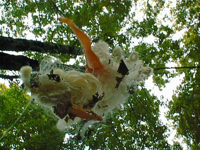 ../../5X-Day-Photos/SExmortis/DSC00010.jpg