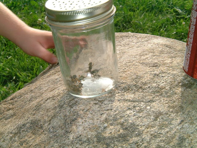 ../../6XDay-Photos/Two-Beans/LastOfTheFrappy.JPG