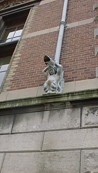 image/pic00081.jpg, 37.1K