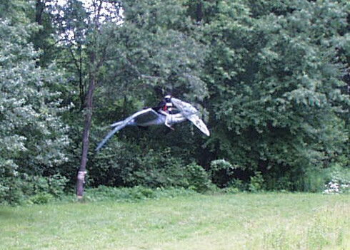 ../KIMSKER/misc./NAZGUL.JPG