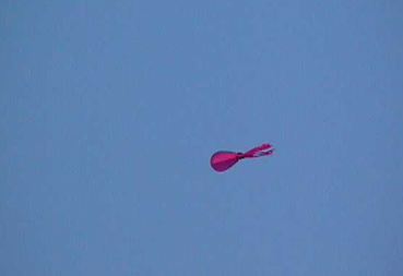 ../ZEPOL/Z-Misc.Scenes/squid-kite.JPG