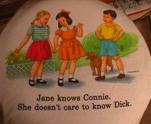 ../connie-shirt.jpg, 44.2K