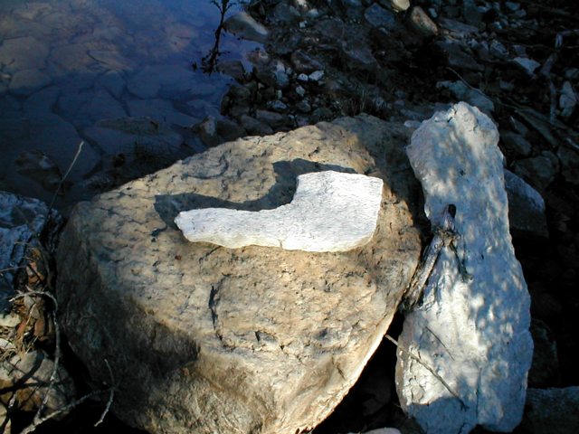 ../Xistlessnessmas2002/3192FossilPipe.jpg