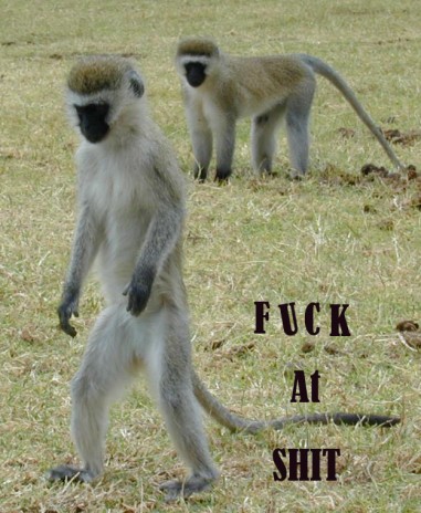 ../fuckthatshit/banananana/congoFTS.jpg