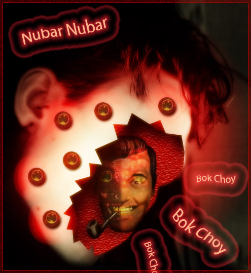../HI1/Self-Portrait-ubar-Bok-Choy.jpg