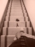 image/_sp_bad_parody_of_stairs.jpg