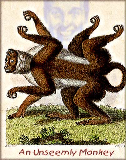 ../lemur1/bd_unseemly186.jpg